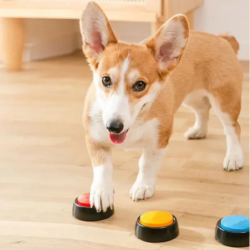 Pet Sound Box Beschreibbare Re – Event Party Box Bewertung und Preis